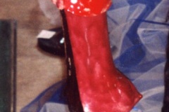 le poète